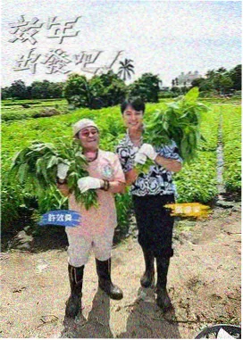 晴天影视拼图模块:综艺现场舱封面图